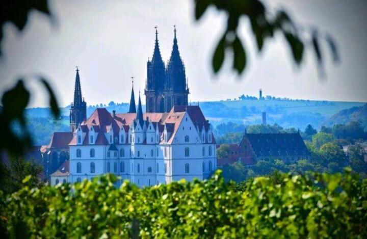 Ferienhaus Dr. Mueller Meissen Exterior foto