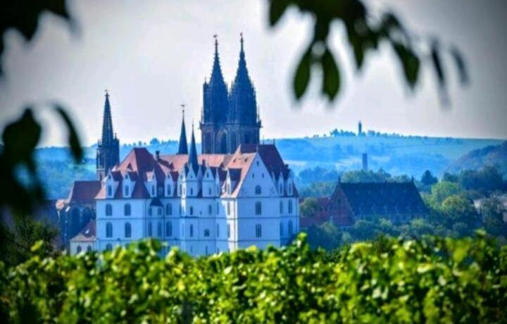 Ferienhaus Dr. Mueller Meissen Exterior foto